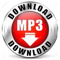MP3114